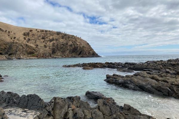 Photo by Brittany B.