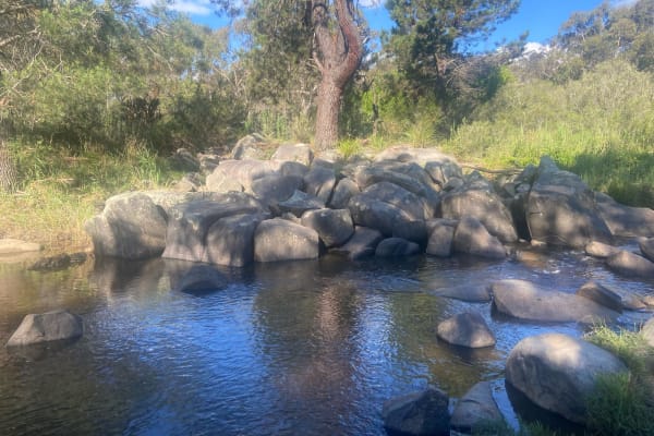 Photo by Stephanie K.