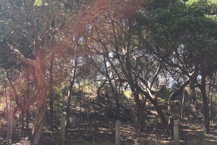 Photo by Michelle L.