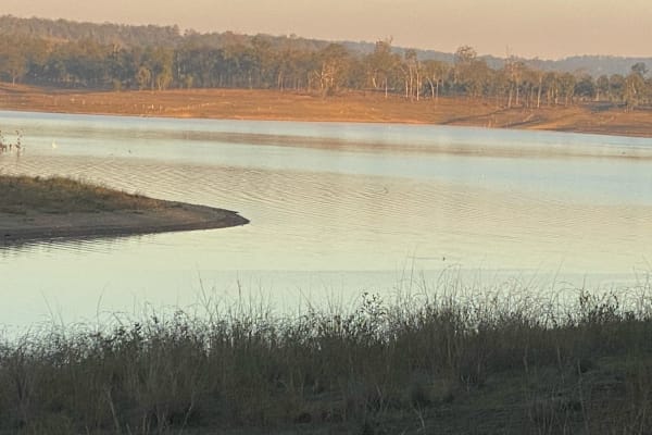 Photo by Cristina B.