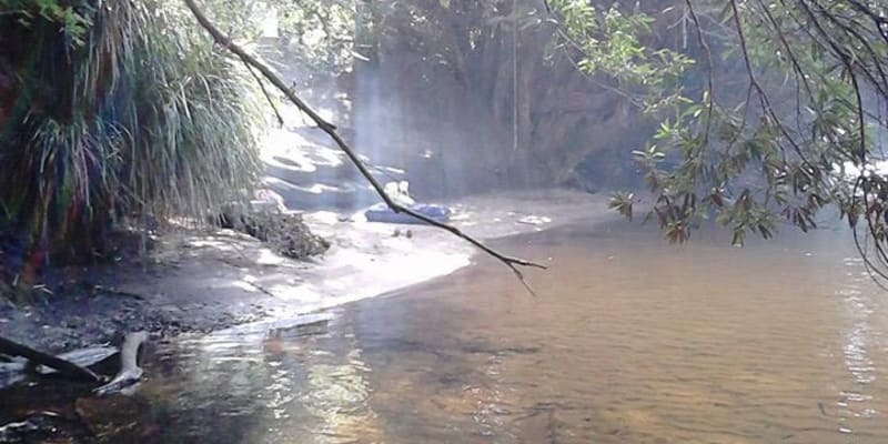 Photo by Tracy N David Ross