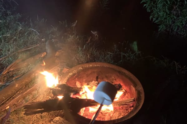 Photo by Ana Cláudia Gomes