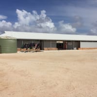 Photo by Kim & Shane