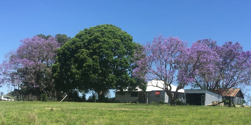 Photo by Belbrooke Pty Ltd as trustee for the Belbrooke Administration Trust