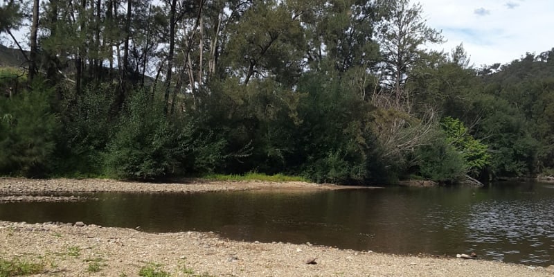 Photo by Matt Janet Hahn