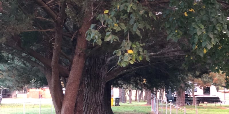 Photo by Brucethegoose