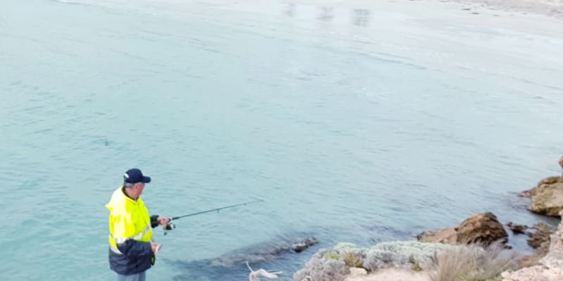 Photo by Sheree Gregory Our Oz Journey