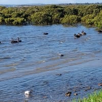 Photo by Colin van den Hoff