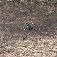 Photo by Happy Hour Hunters