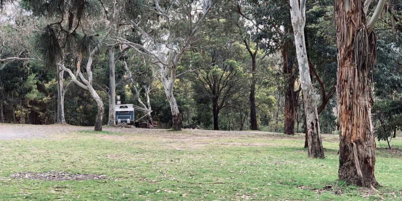 Photo of Blue Gum Flat 2