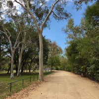 Photo by Marcia Christine Baker