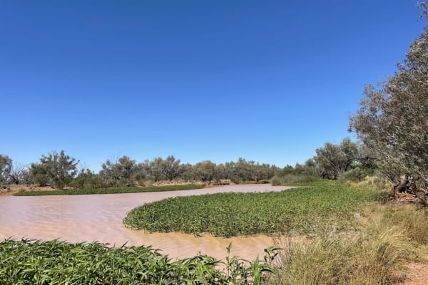 Photo by Happy Hour Hunters