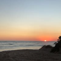 Photo by Brucethegoose