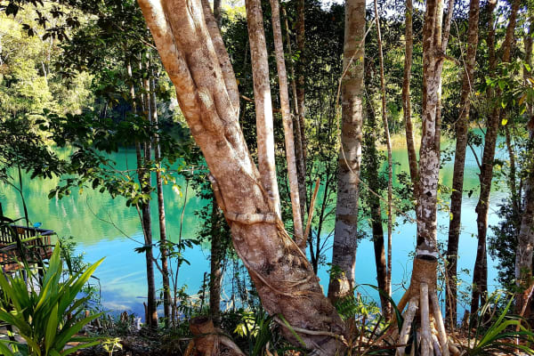 Photo by My Rig Adventures