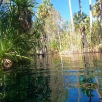 Photo by Colin van den Hoff