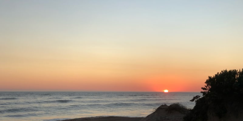 Photo by Brucethegoose