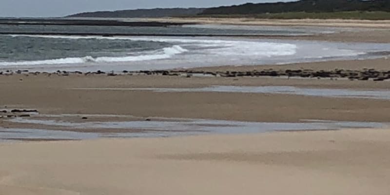 Photo of Beechford Dunes