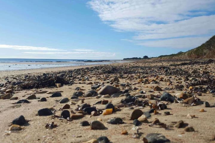 Photo by Guest.Relations