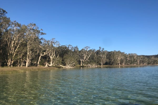 Photo by Courtney w.