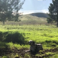 Photo by James Douglas Mitchell