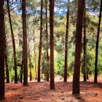 Photo by TravelTayls