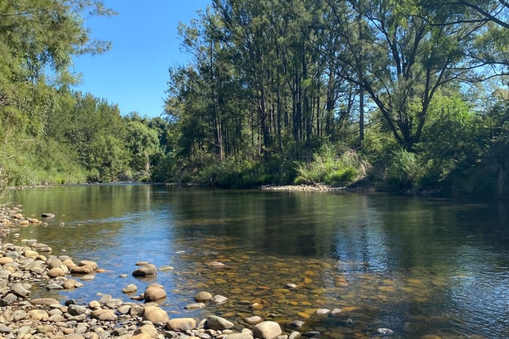 Photo by Louise Le Roux