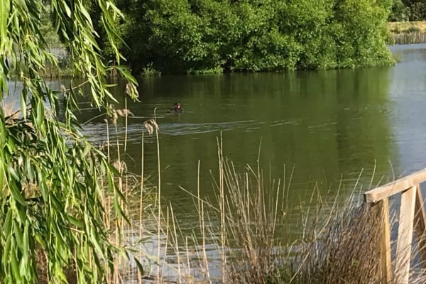 Photo by The blonde nomads