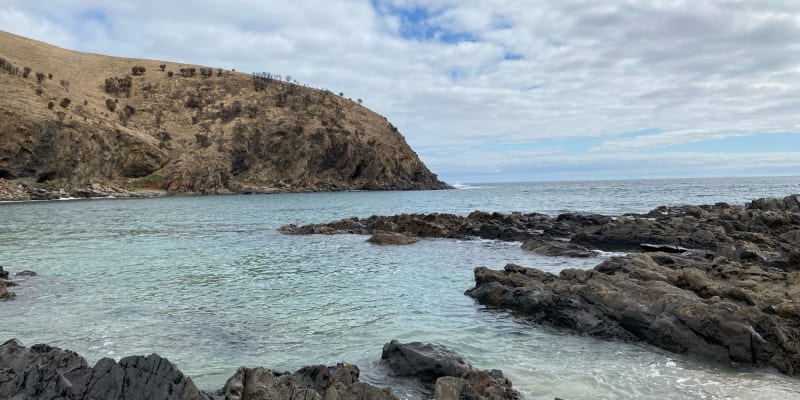 Photo by Brittany B.