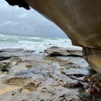 Photo by Courtney w.