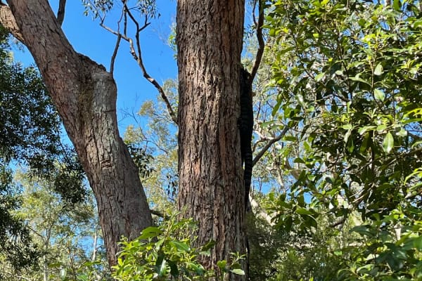 Photo by Nattaporn B.