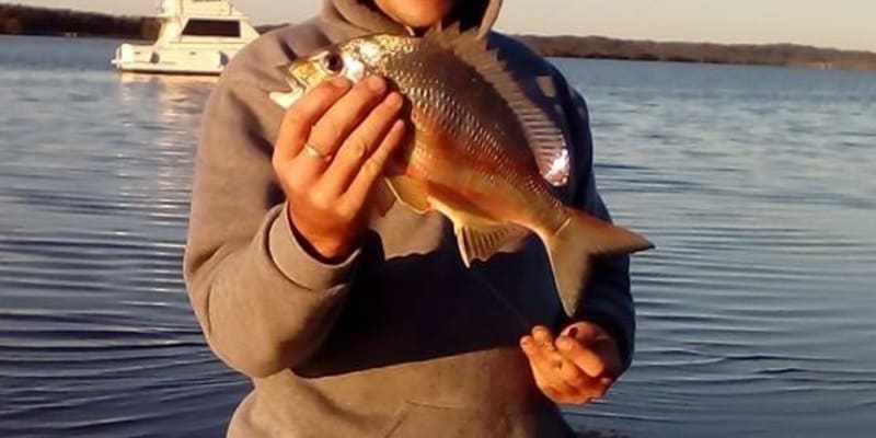 Photo by Tracy N David Ross