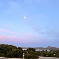 Photo by Chelsea and Jye