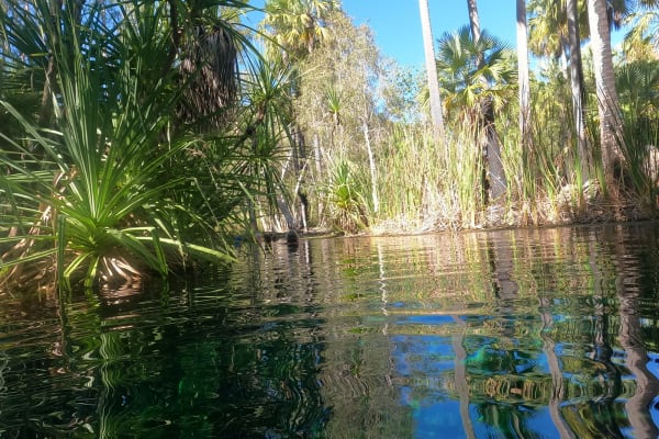 Photo by Colin van den Hoff