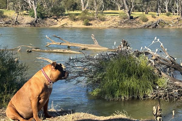 Photo by Michelle F.