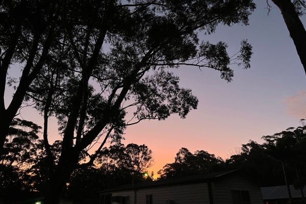 Photo by Courtney B.