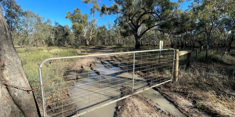 Photo by DaveDuff    CampInNature