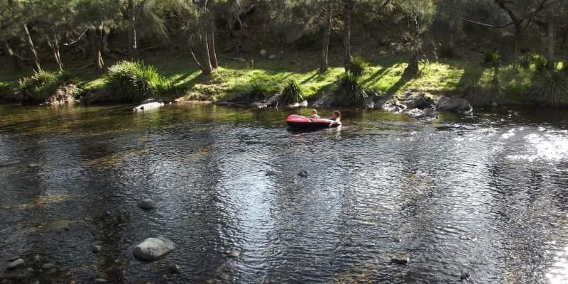 Photo by Tracy N David Ross