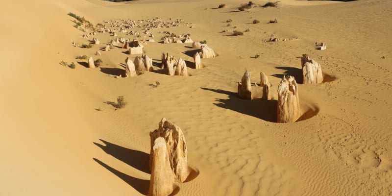 Photo by Off The Trax