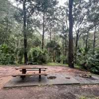 Photo by Eivi from Estonia