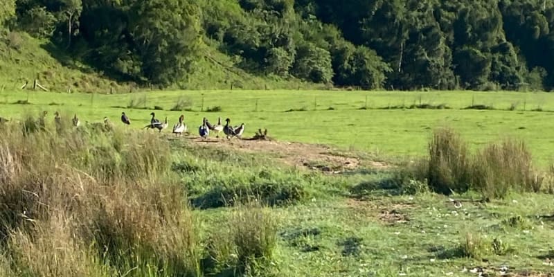 Photo by Louise Le Roux