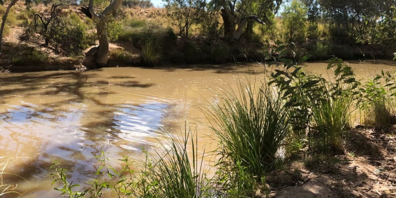 Photo by Elizabeth P.