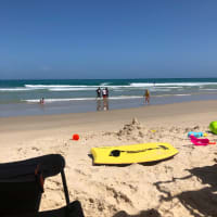 Photo by Genevieve W.