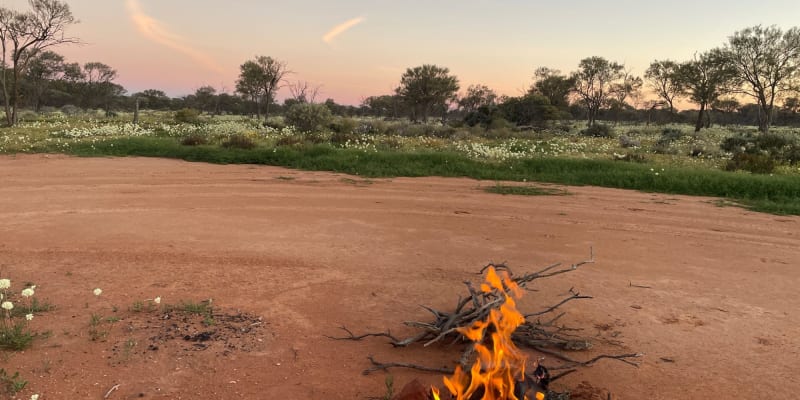 Photograph of Camp with your pets at these 10 campgrounds near Yalgoo, WA