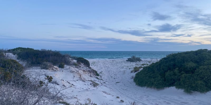 Photo by Elisabeth D.