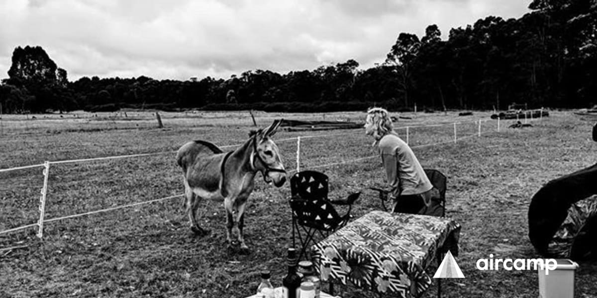 glenbrook-camping-anycamp