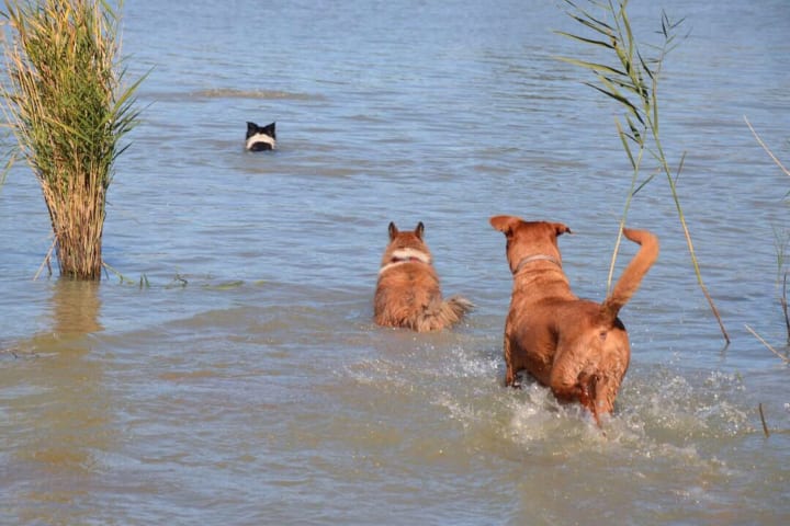 Photo by @ode2theroad