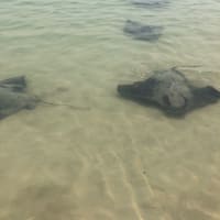 Photo by Benjamin A.