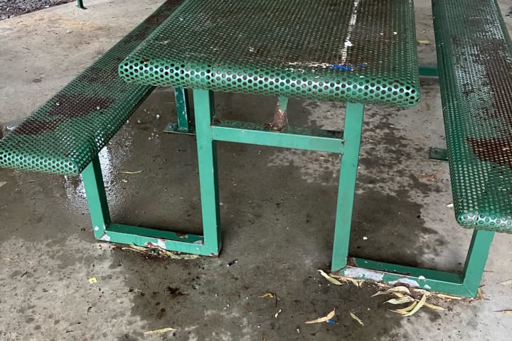 Photo by TassieTraveller