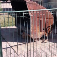 Photo by Colin van den Hoff