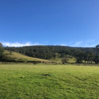 Photo by James Douglas Mitchell